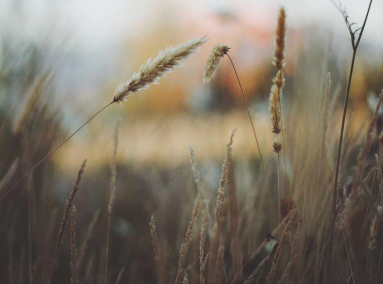 antebrazo:i_bkbab0t2w= tatuajes para hombres