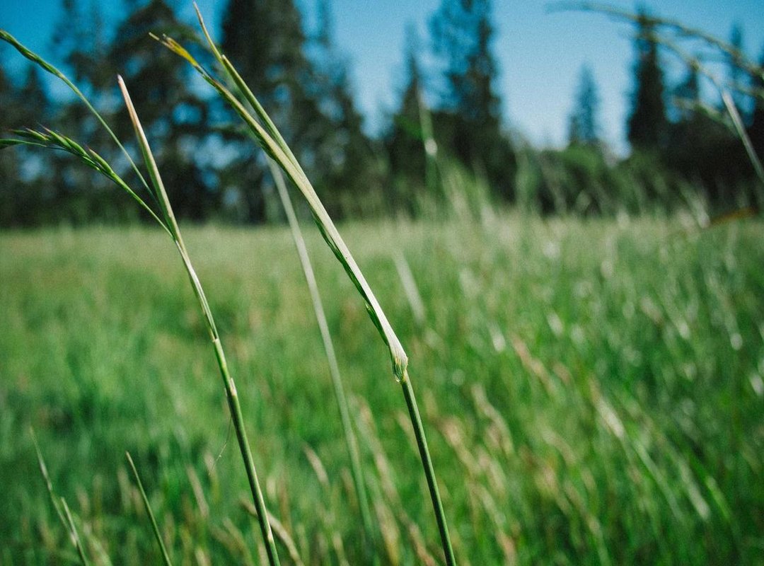 Frequently Asked Questions (FAQs)