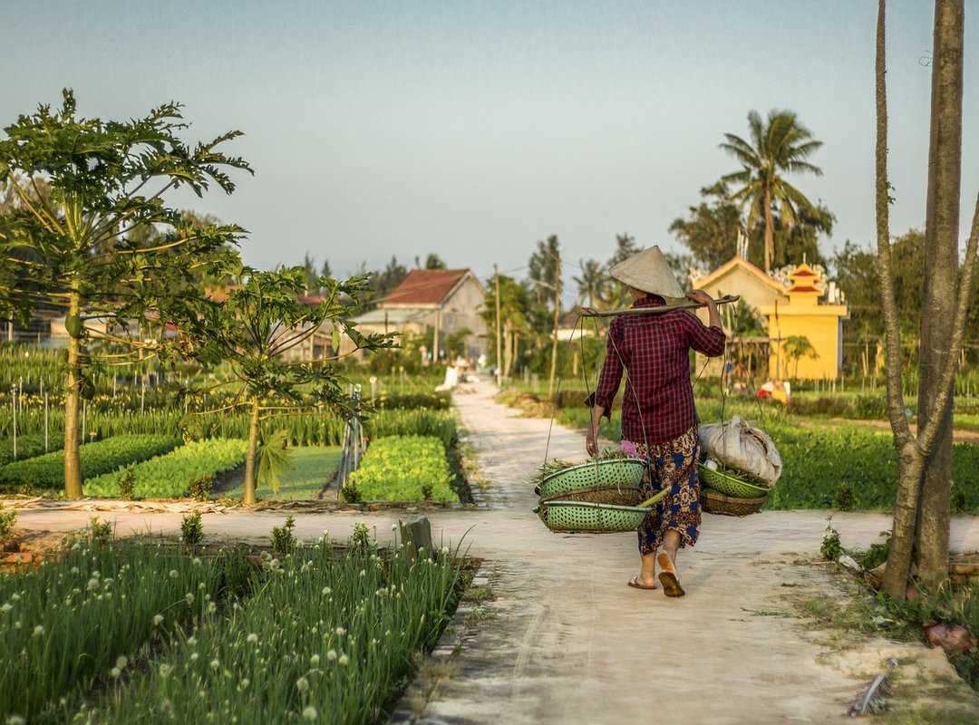 local farmers sourcing