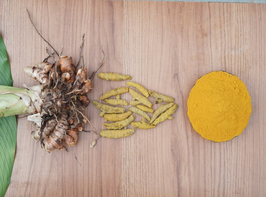 turmeric ingredient spotlight